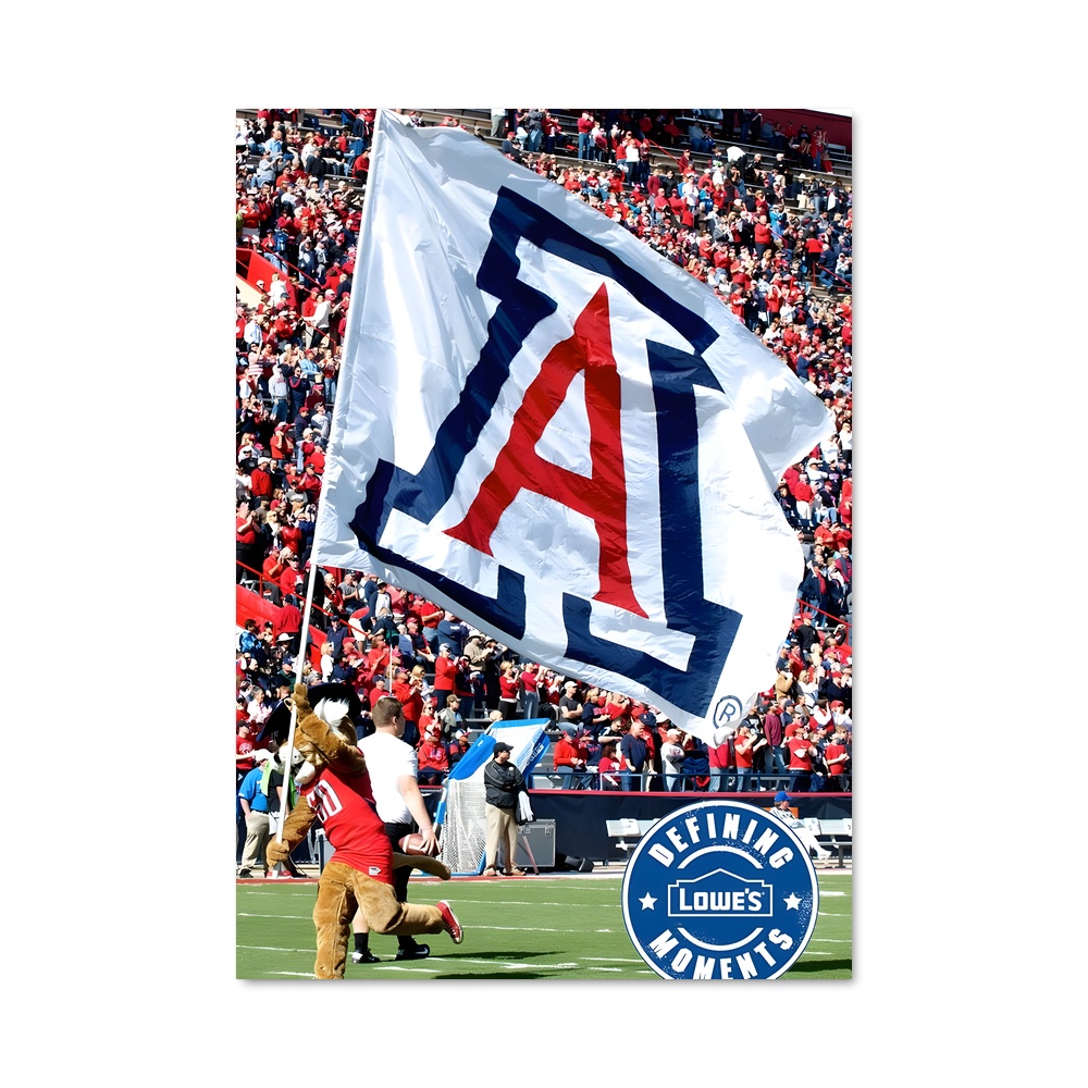 Poster Fier Wildcats – affiche Basketball